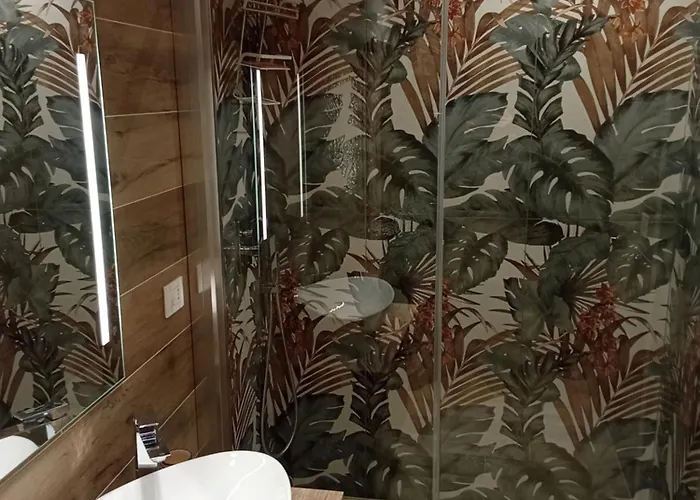 Carmen'sdream Катания